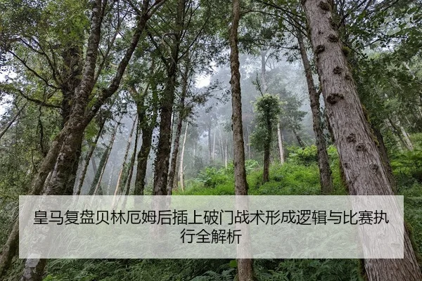 皇马复盘贝林厄姆后插上破门战术形成逻辑与比赛执行全解析